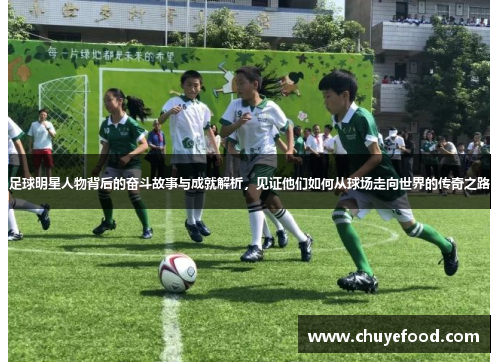 足球明星人物背后的奋斗故事与成就解析，见证他们如何从球场走向世界的传奇之路