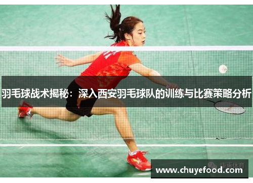 羽毛球战术揭秘：深入西安羽毛球队的训练与比赛策略分析