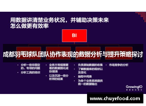 成都羽毛球队团队协作表现的数据分析与提升策略探讨